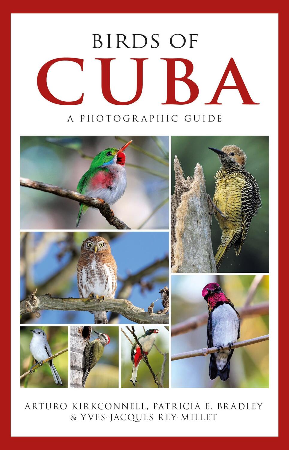 Cover: 9781472918390 | Photographic Guide to the Birds of Cuba | Arturo Kirkconnell (u. a.)