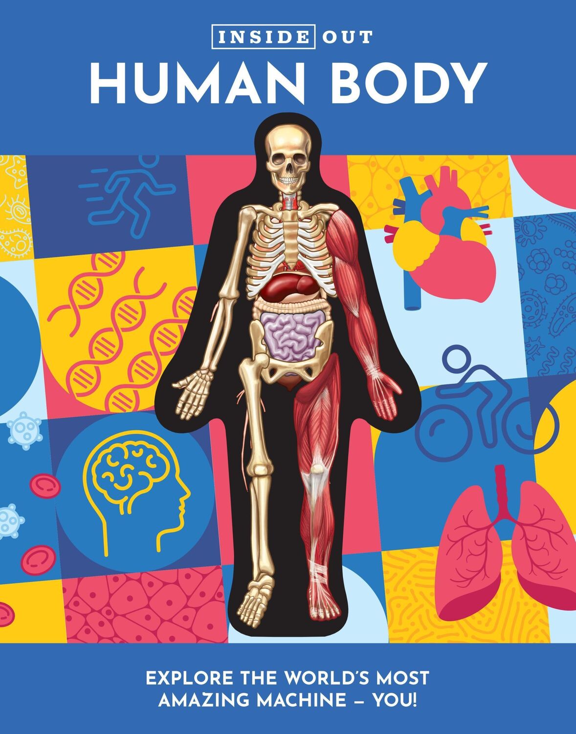 Cover: 9780785841982 | Inside Out Human Body | Luann Columbo | Buch | Englisch | 2023