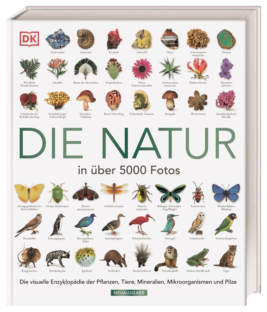 Cover: 9783831042777 | Die Natur in über 5000 Fotos | David Burnie | Buch | 664 S. | Deutsch