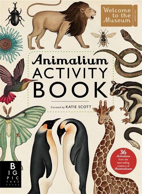 Cover: 9781783703432 | Animalium Activity Book | Taschenbuch | Welcome to the Museum Activity