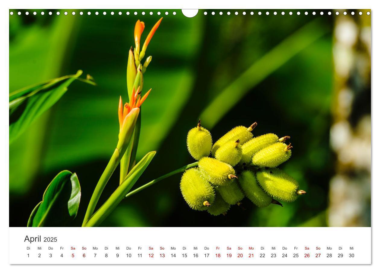 Bild: 9783435003761 | Ecuador - Unbeschreibliche Natur (Wandkalender 2025 DIN A3 quer),...