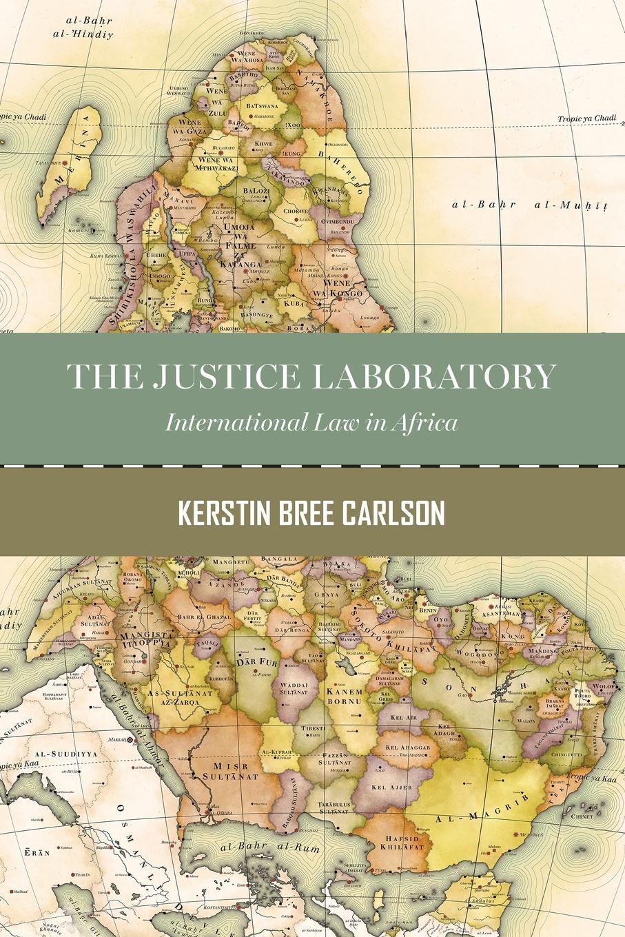 Cover: 9780815738138 | The Justice Laboratory | International Law in Africa | Carlson | Buch