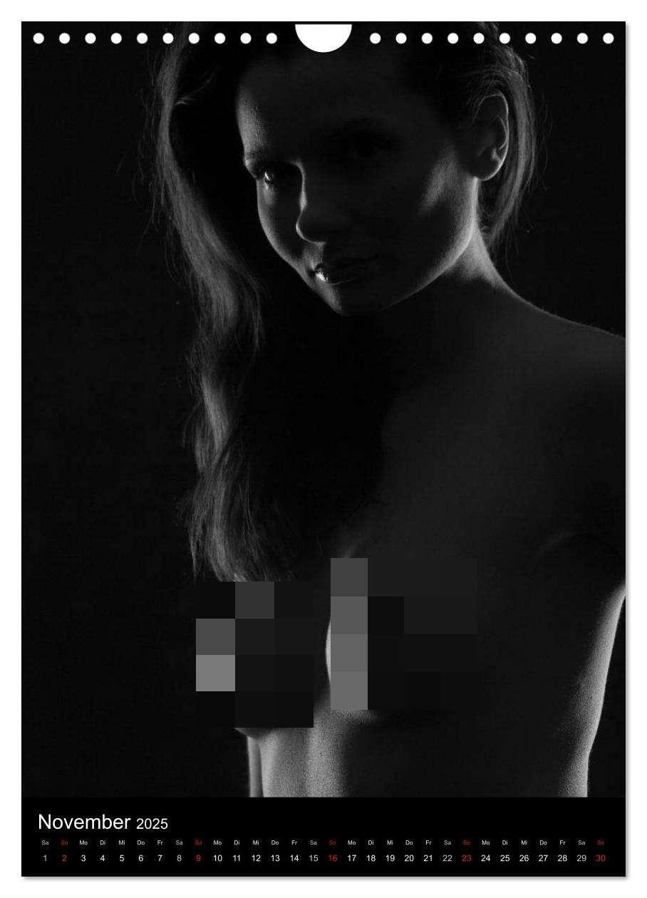 Bild: 9783457081389 | Erotische Silhouetten / CH-Version (Wandkalender 2025 DIN A4 hoch),...