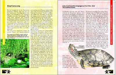 Bild: 9783931587567 | Schildkröten im Gartenteich | Veronika Müller (u. a.) | Taschenbuch