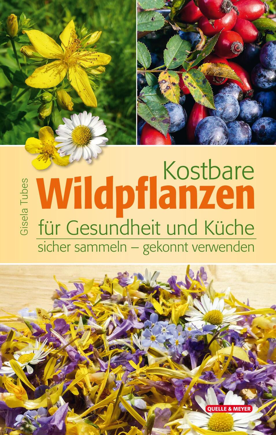 Cover: 9783494019239 | Kostbare Wildpflanzen für Gesundheit und Küche | Gisela Tubes | Buch