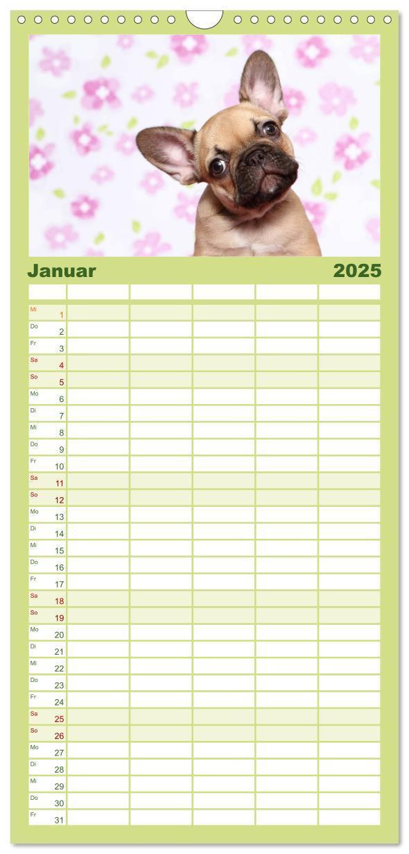 Bild: 9783457111284 | Familienplaner 2025 - Der Bully - Kalender Familienplaner hoch mit...