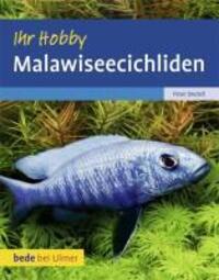 Cover: 9783800167531 | Malawiseecichliden | Peter Bredell | Buch | bede bei Ulmer | Deutsch