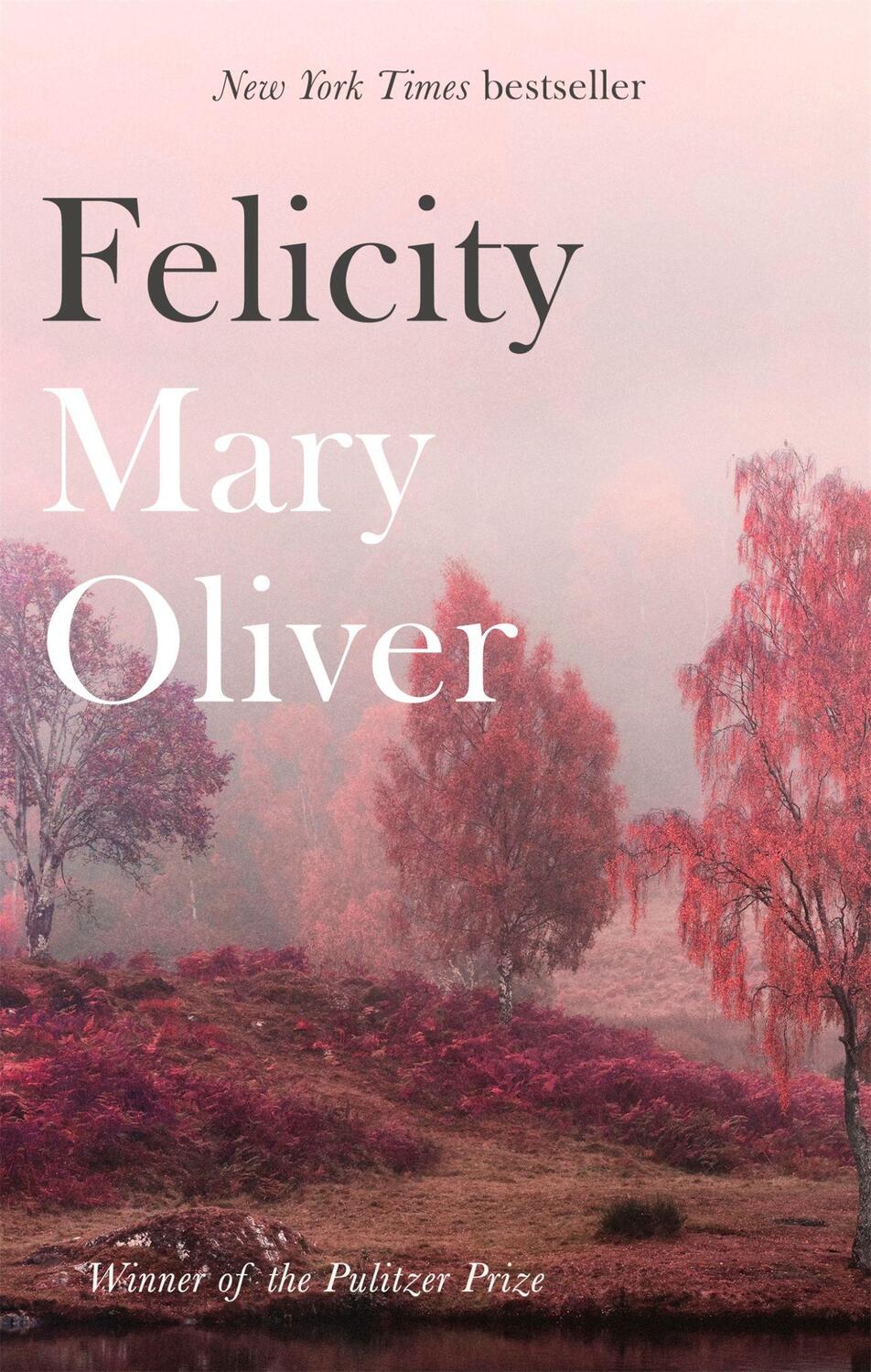 Cover: 9781472153739 | Felicity | Mary Oliver | Taschenbuch | Kartoniert / Broschiert | 2018