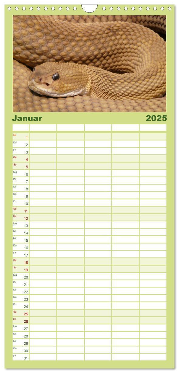 Bild: 9783457125281 | Familienplaner 2025 - Schlangen mit 5 Spalten (Wandkalender, 21 x...