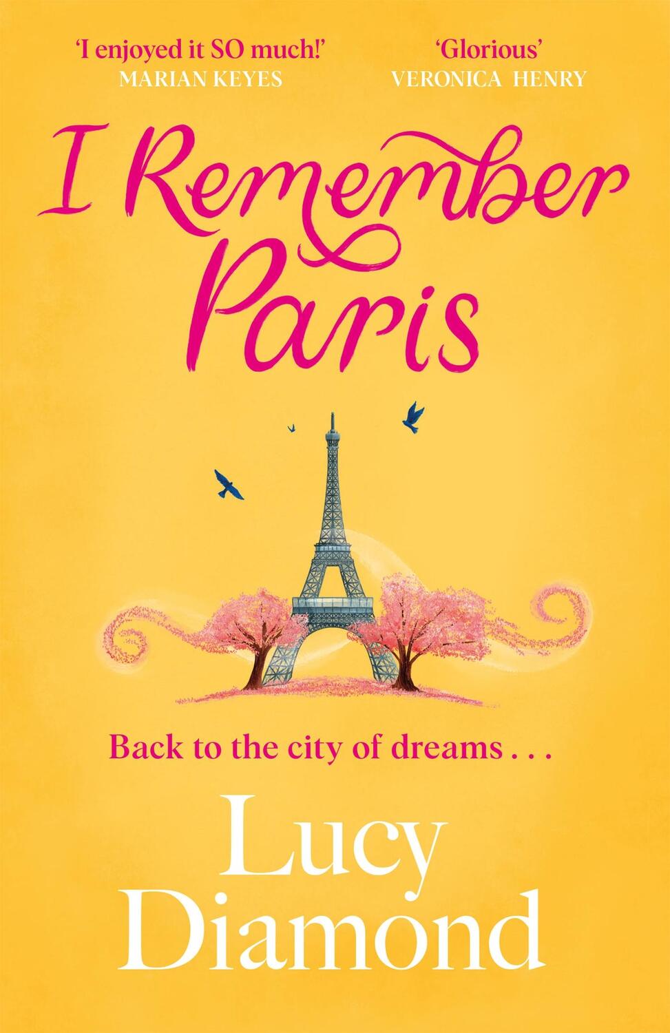 Cover: 9781529432954 | I Remember Paris | the perfect escapist summer read set in Paris