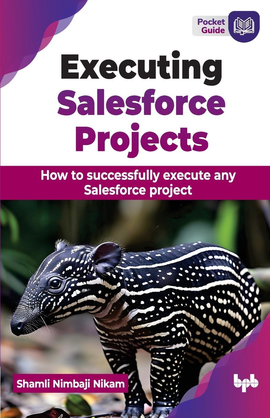 Cover: 9789355519047 | Executing Salesforce Projects | Shamli Nimbaji Nikam | Taschenbuch