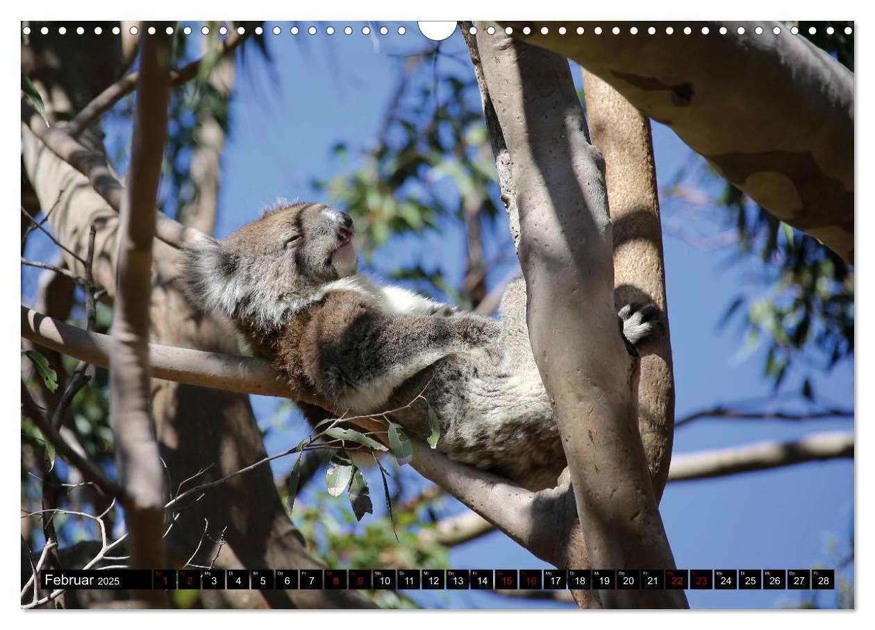 Bild: 9783435336302 | West-Australien (Wandkalender 2025 DIN A3 quer), CALVENDO...