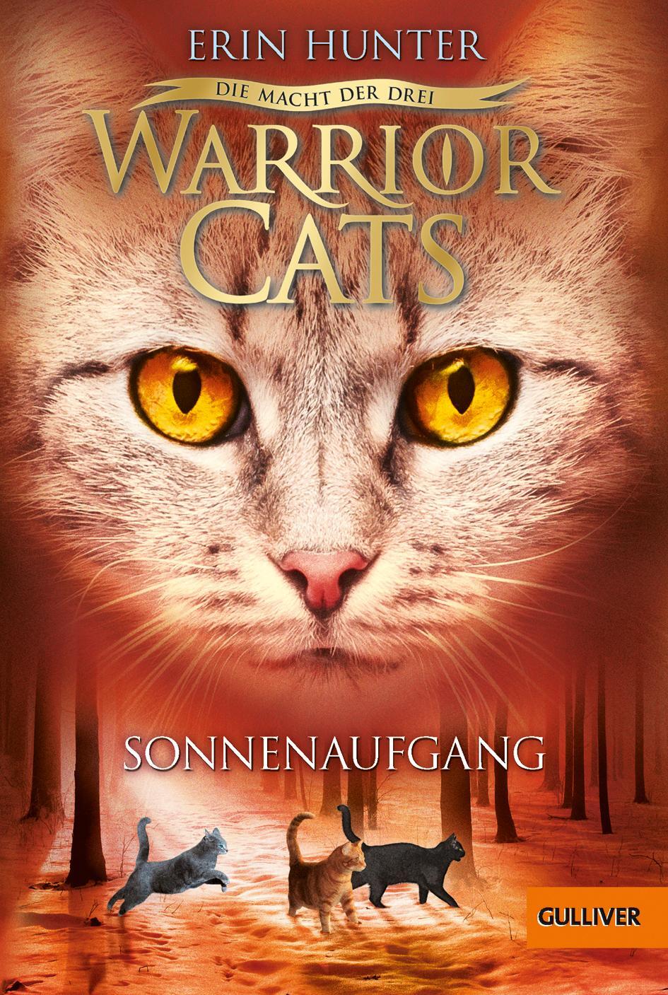 Cover: 9783407749185 | Warrior Cats Staffel 3/06. Die Macht der drei. Sonnenaufgang | Hunter