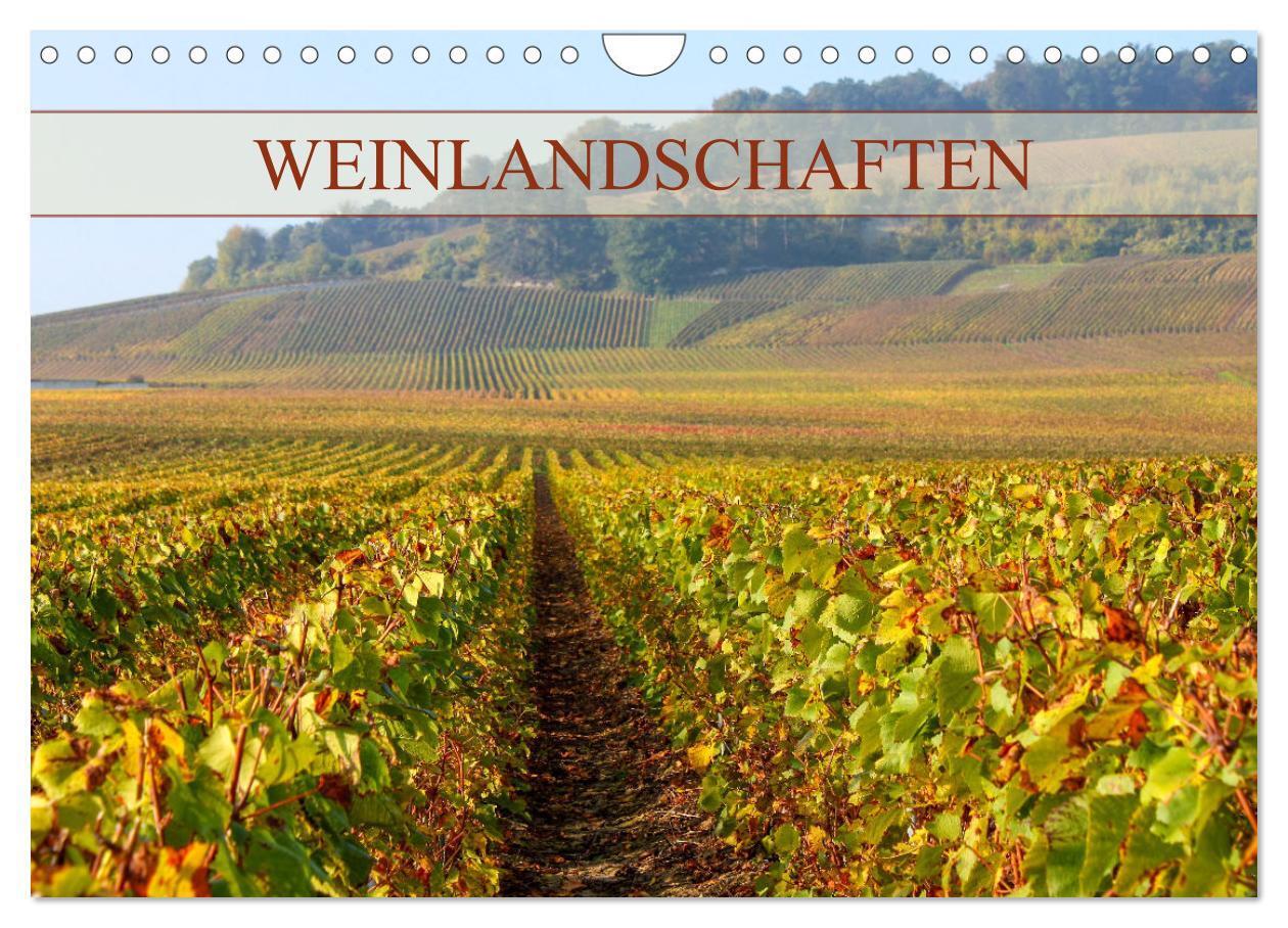 Cover: 9783675425774 | Weinlandschaften (Wandkalender 2024 DIN A4 quer), CALVENDO...