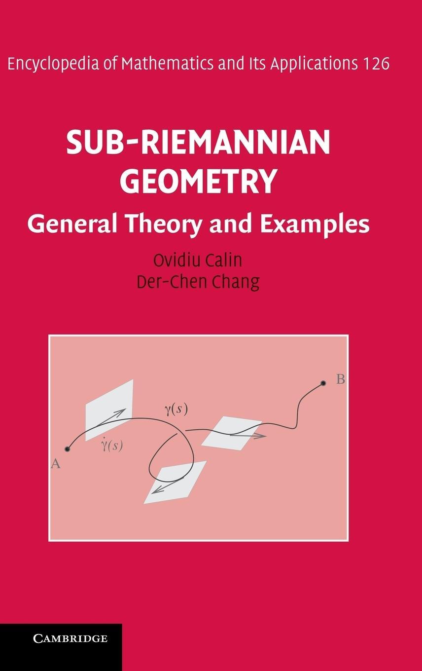 Cover: 9780521897303 | Sub-Riemannian Geometry | General Theory and Examples | Calin (u. a.)