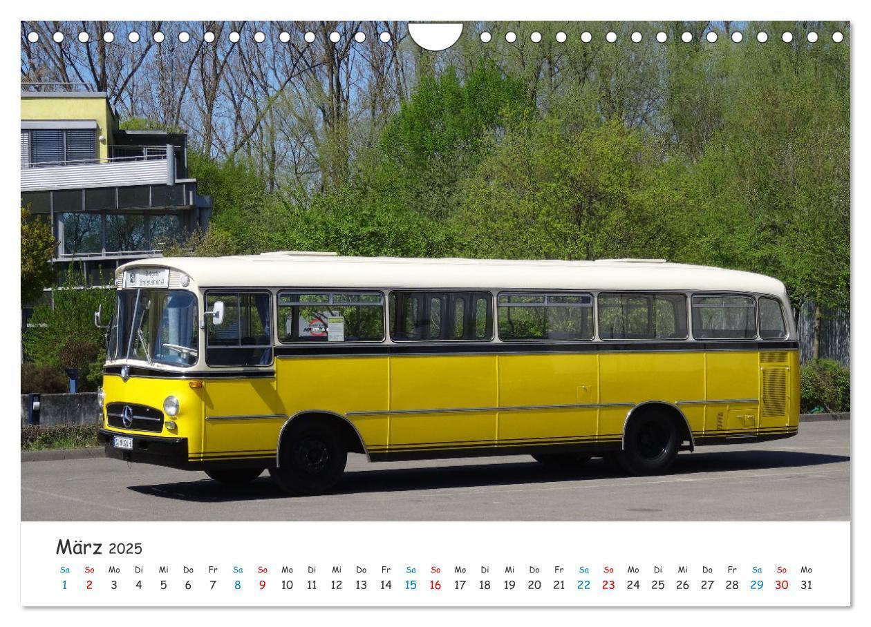 Bild: 9783435095001 | Omnibusse von heute und früher (Wandkalender 2025 DIN A4 quer),...