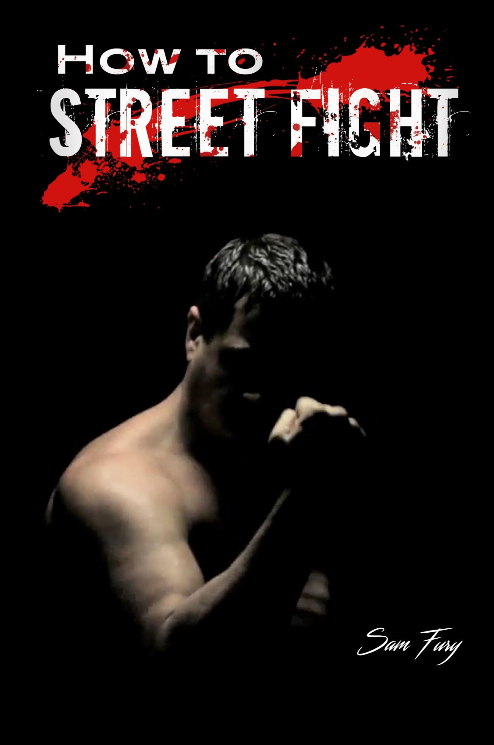 Cover: 9781925979046 | How to Street Fight | Sam Fury | Taschenbuch | Englisch | 2019