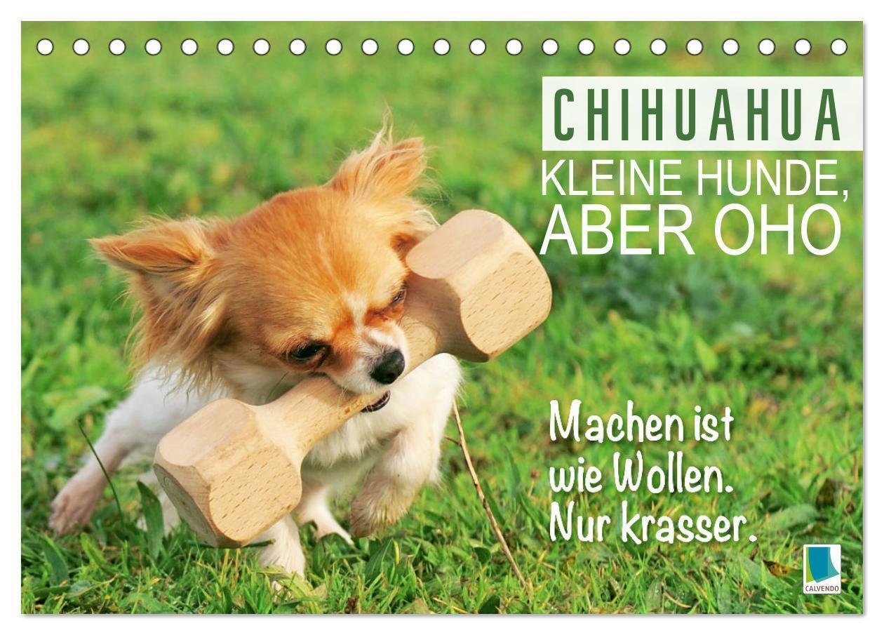 Cover: 9783457199879 | Chihuahua: Kleine Hunde, aber oho (Tischkalender 2025 DIN A5 quer),...