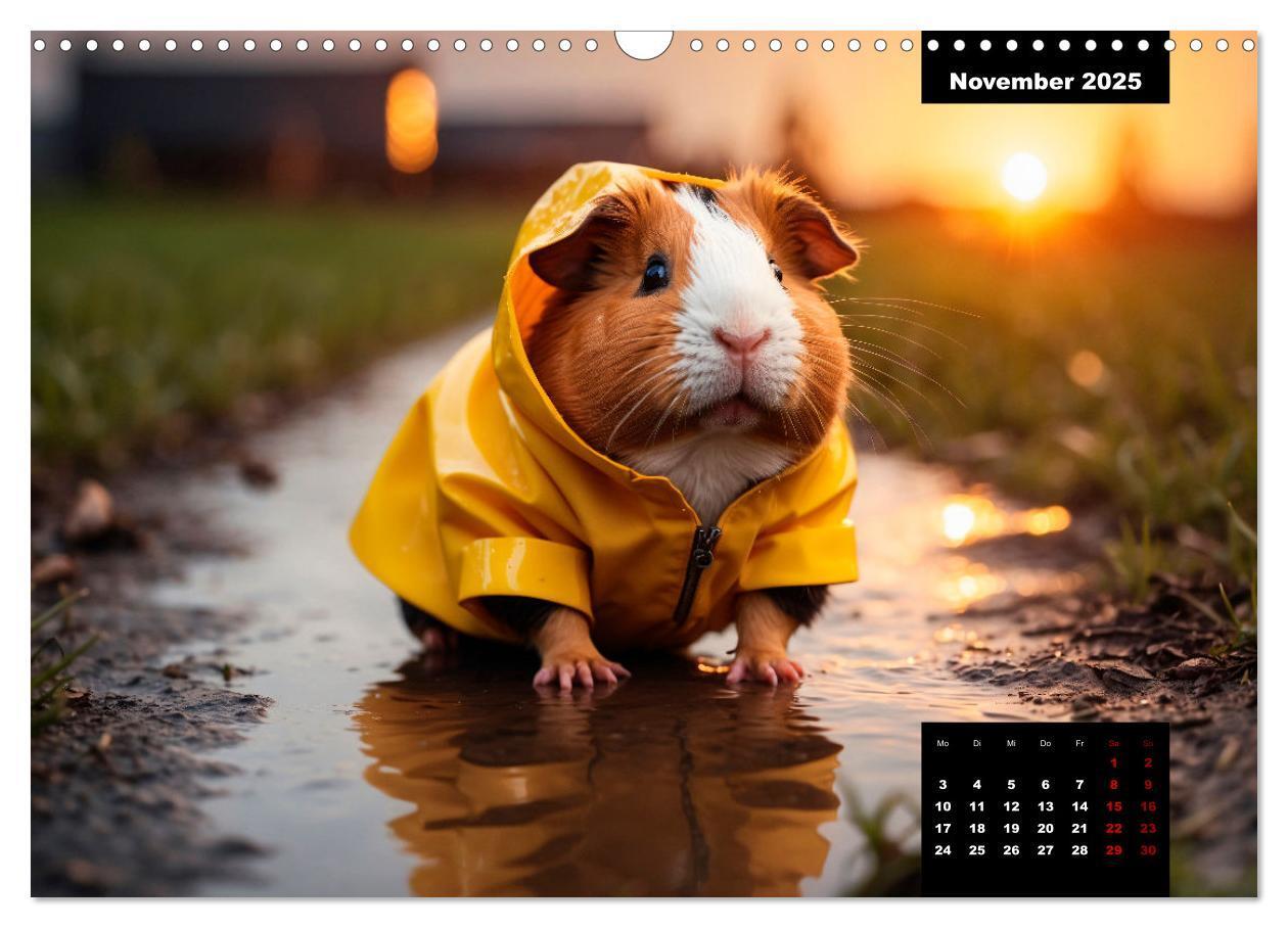 Bild: 9783435012527 | Meerschweinchen mal anders! (Wandkalender 2025 DIN A3 quer),...