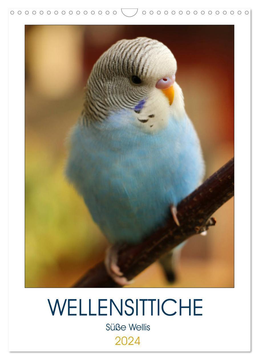Cover: 9783383160295 | WELLENSITTICHE - Süße Wellis (Wandkalender 2024 DIN A3 hoch),...