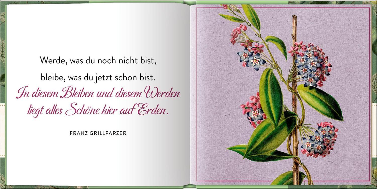 Bild: 9783649645993 | Herzlichen Glückwunsch | Buch | BiblioPhilia | 96 S. | Deutsch | 2023