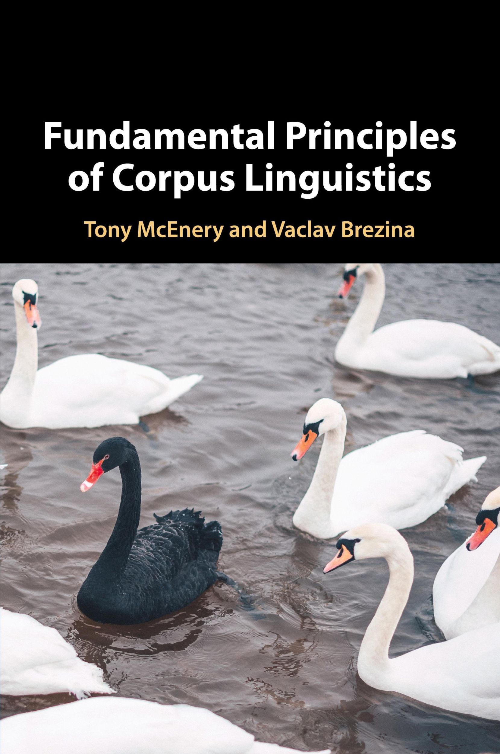 Cover: 9781107624689 | Fundamental Principles of Corpus Linguistics | Tony Mcenery | Buch