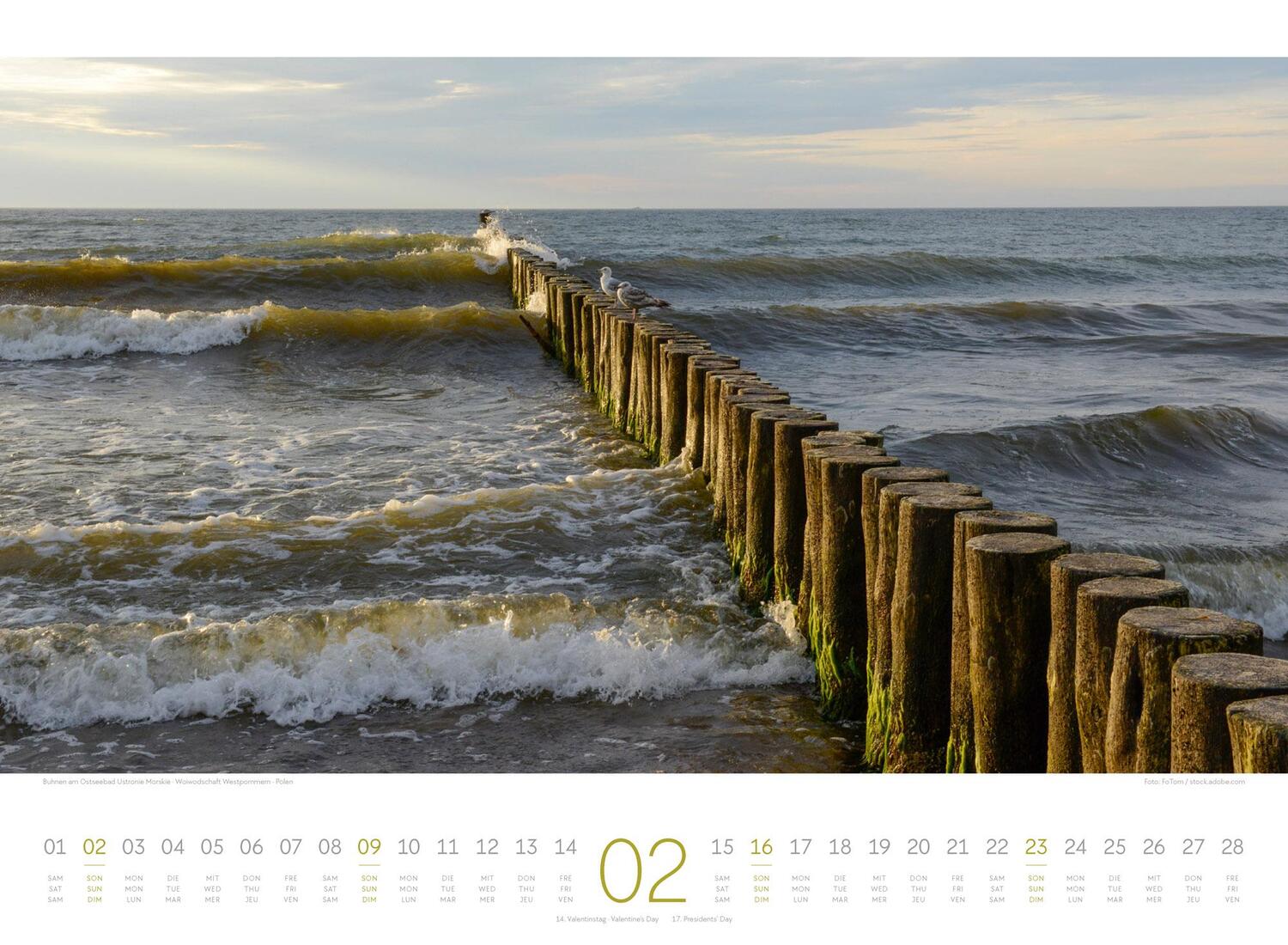 Bild: 9783838425771 | Tage am Meer Kalender 2025 | Ackermann Kunstverlag | Kalender | 14 S.