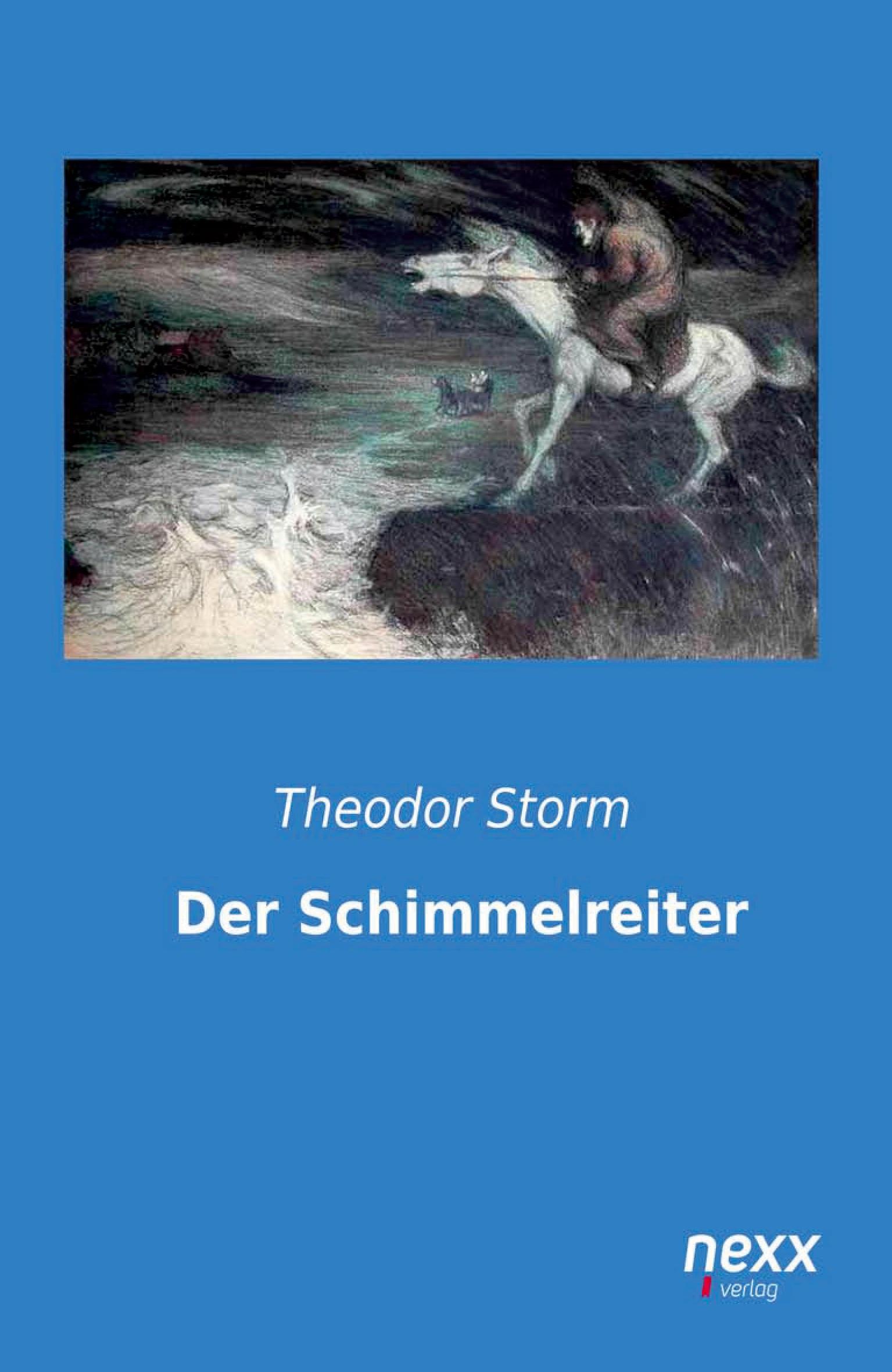 Cover: 9783958703087 | Der Schimmelreiter | Theodor Storm | Taschenbuch | 180 S. | Deutsch