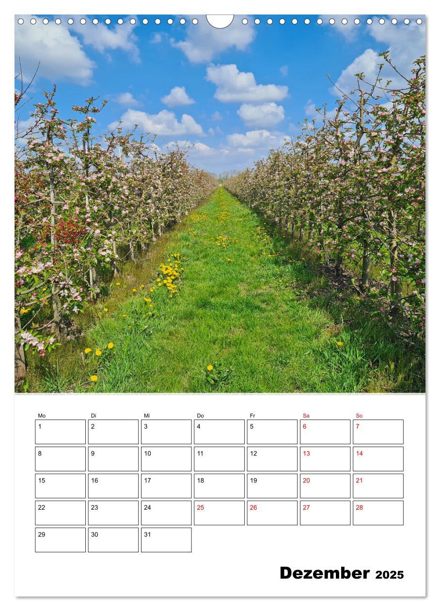 Bild: 9783435901265 | Frühling im Alten Land - Baumblütenzeit (Wandkalender 2025 DIN A3...