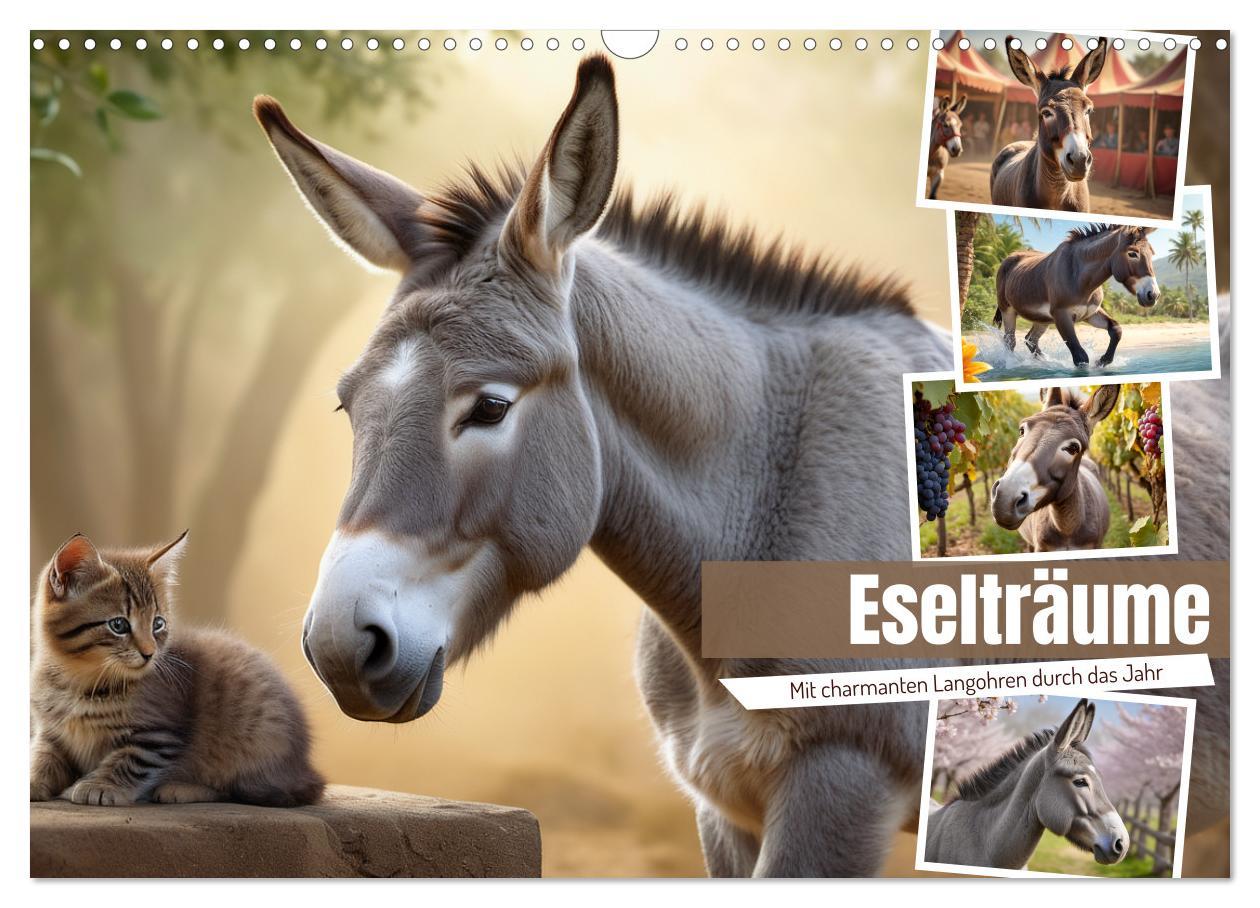 Cover: 9783457187487 | Eselträume (Wandkalender 2025 DIN A3 quer), CALVENDO Monatskalender