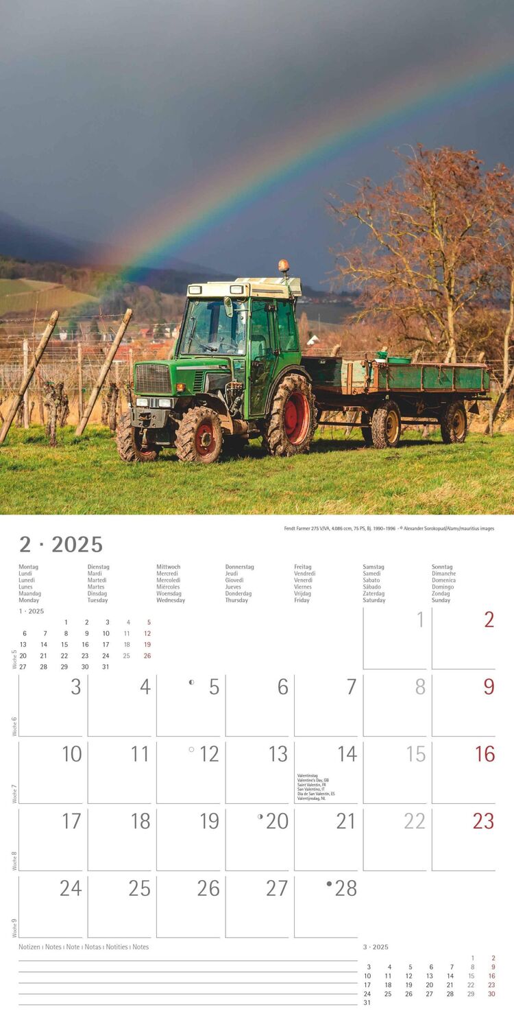 Bild: 4251732343170 | Traktoren Classics 2025 - Broschürenkalender 30x30 cm (30x60...