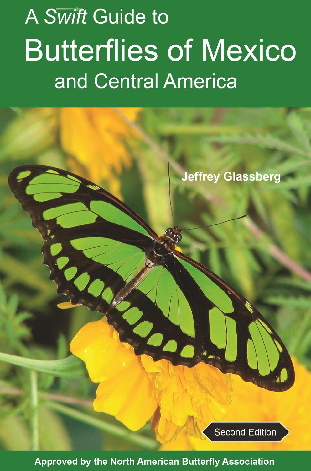 Cover: 9780691176482 | A Swift Guide to Butterflies of Mexico and Central America | Glassberg