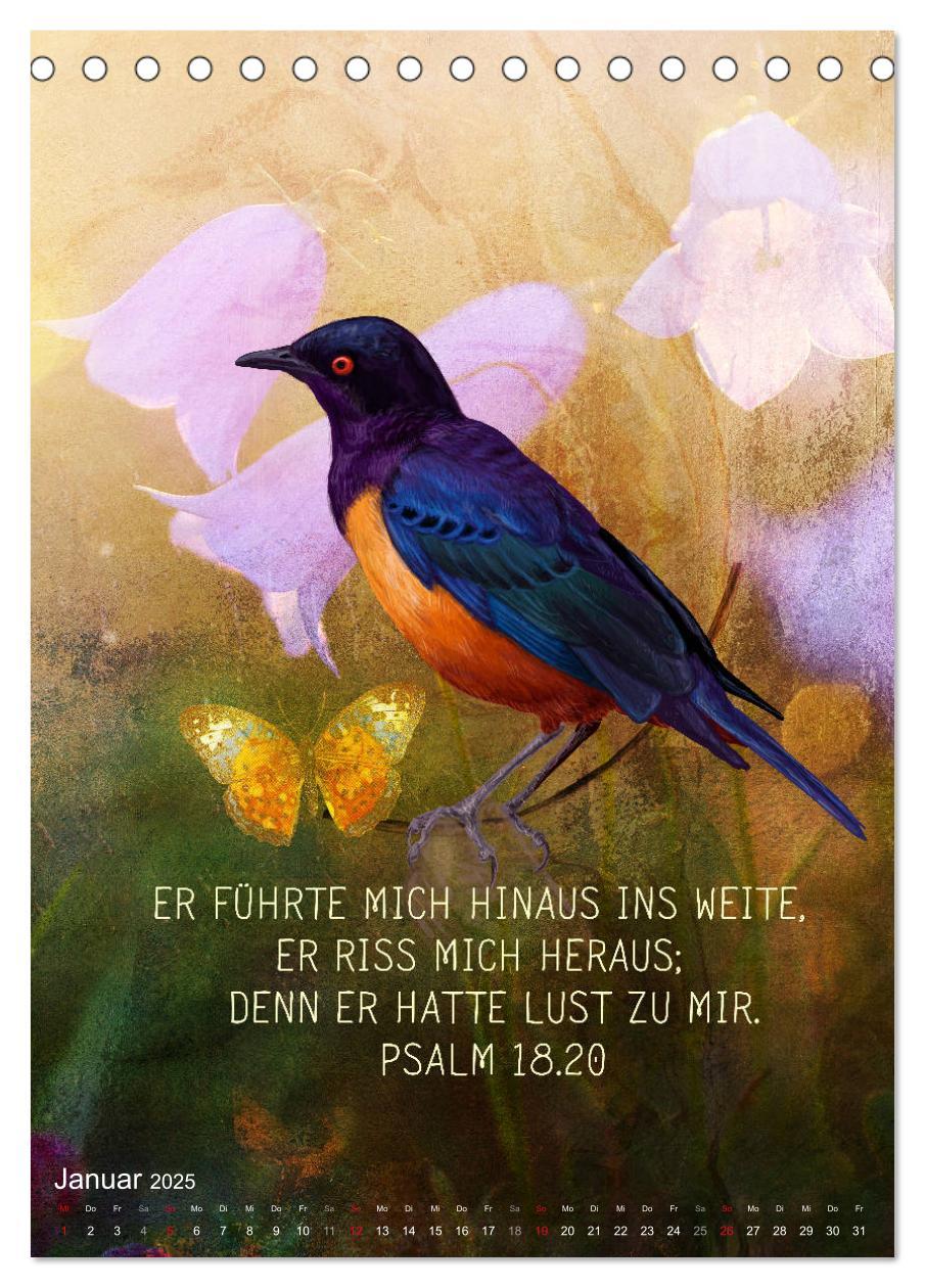 Bild: 9783435961399 | Bibelworte für Vogelfreunde (Tischkalender 2025 DIN A5 hoch),...