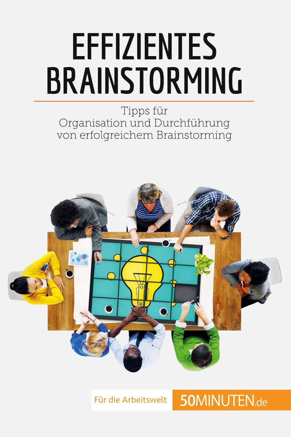 Cover: 9782808021531 | Effizientes Brainstorming | Nicolas Zinque | Taschenbuch | Coaching