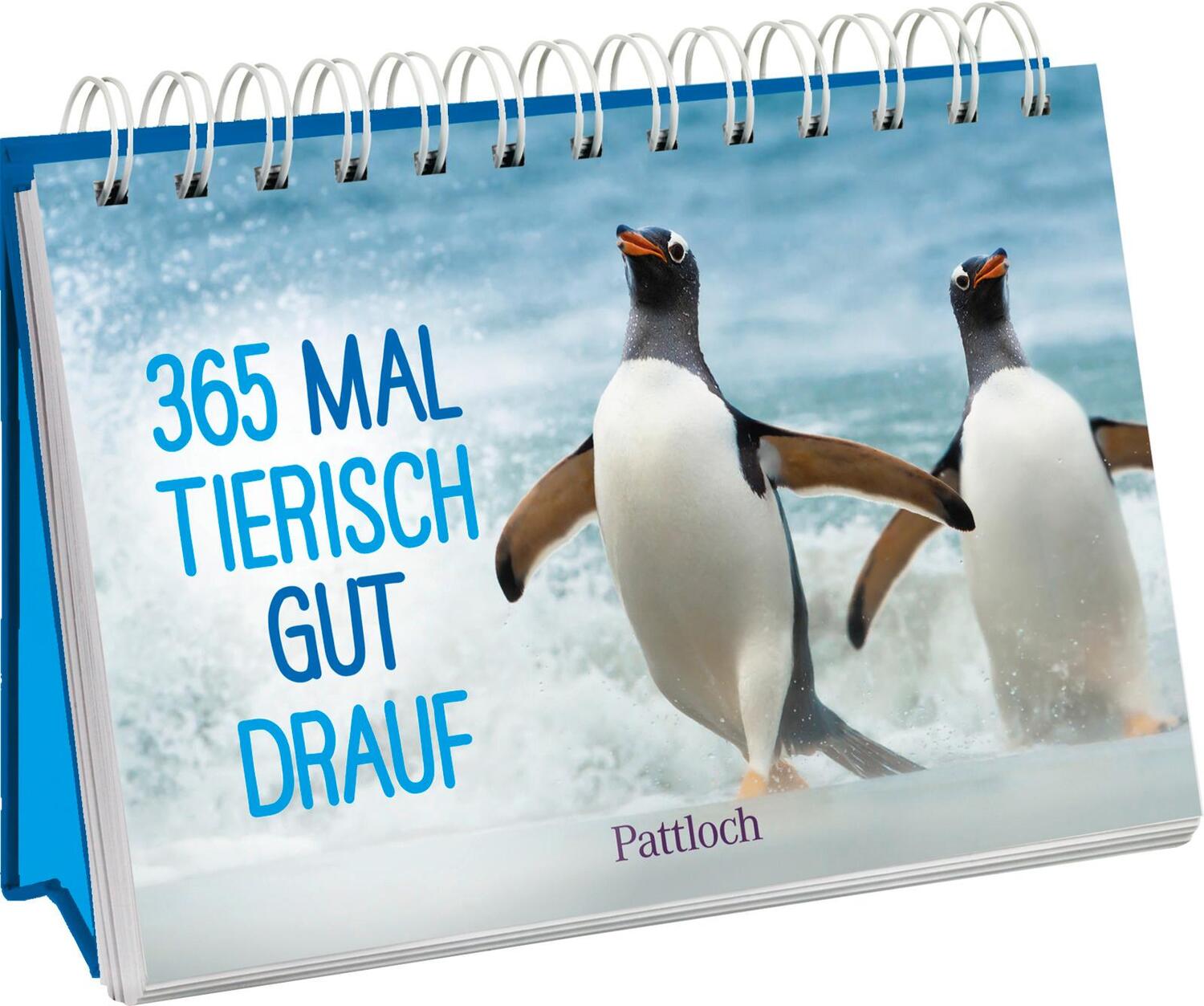 Cover: 9783629010933 | 365 mal tierisch gut drauf! | Pattloch Verlag | Kalender | 384 S.