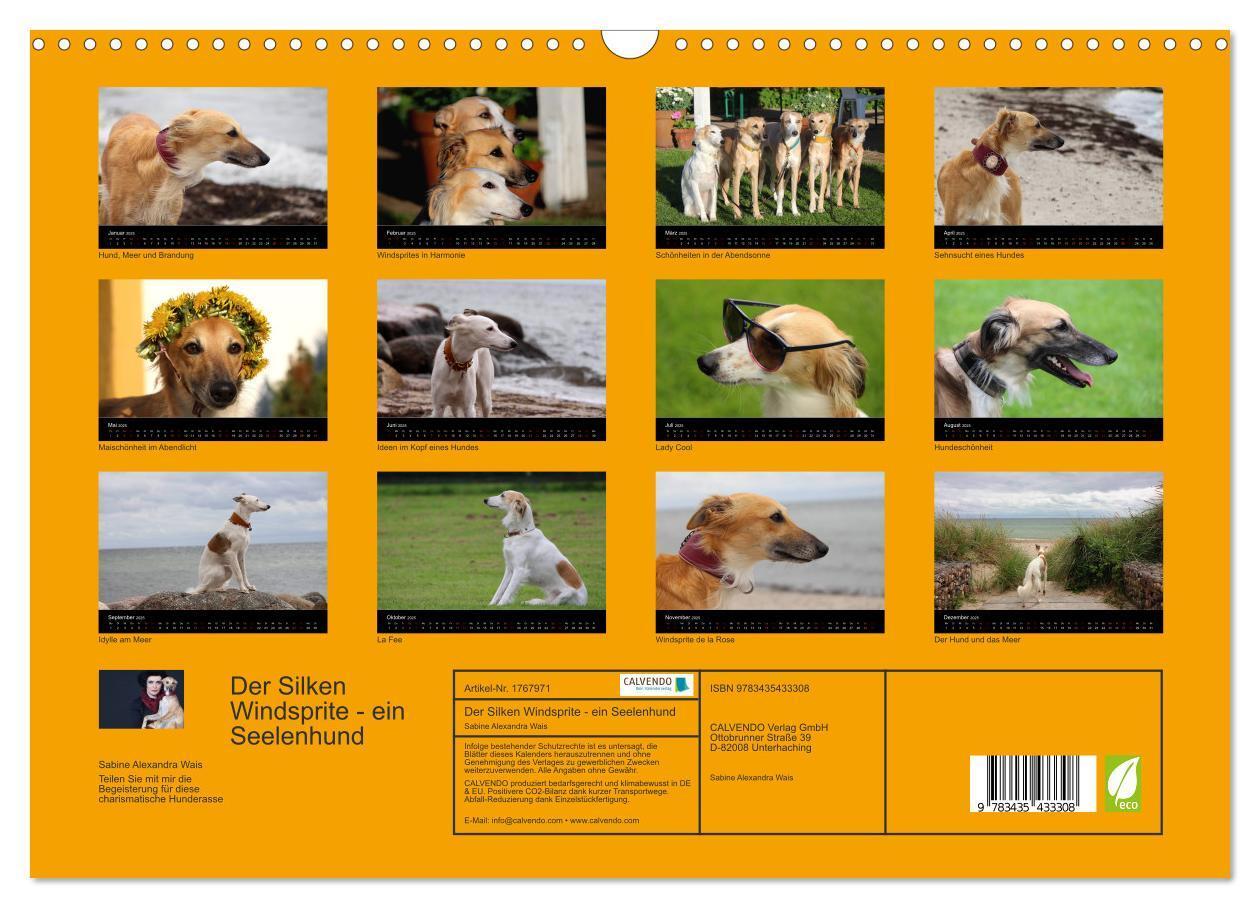 Bild: 9783435433308 | Der Silken Windsprite - ein Seelenhund (Wandkalender 2025 DIN A3...