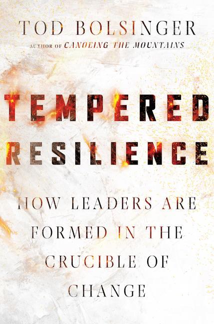 Cover: 9780830841646 | Tempered Resilience - How Leaders Are Formed in the Crucible of Change