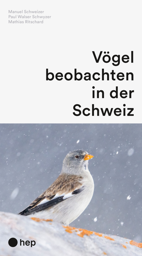 Cover: 9783035526288 | Vögel beobachten in der Schweiz | Manuel Schweizer (u. a.) | Buch