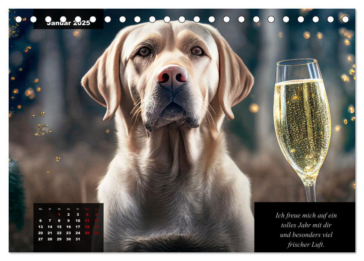 Bild: 9783435369027 | Der witzige Labrador-Kalender (Tischkalender 2025 DIN A5 quer),...