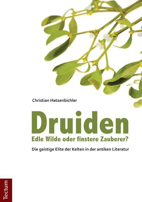 Cover: 9783828825628 | Druiden - Edle Wilde oder finstere Zauberer? | Christian Hatzenbichler