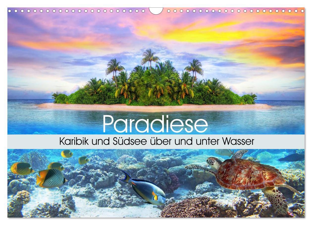 Cover: 9783435488827 | Paradiese. Karibik und Südsee über und unter Wasser (Wandkalender...