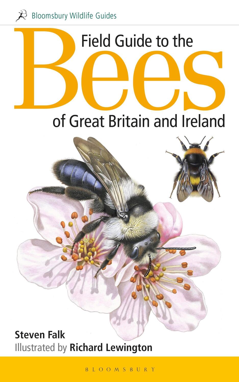 Cover: 9781472967053 | Field Guide to the Bees of Great Britain and Ireland | Steven Falk