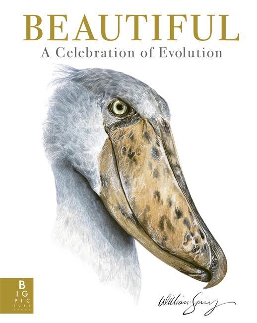 Cover: 9781800786165 | Beautiful | A Celebration of Evolution | William Spring | Buch | 2024