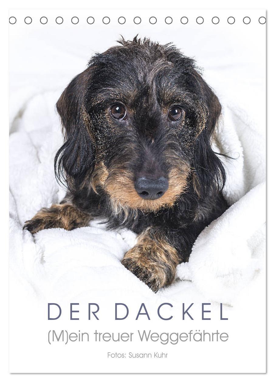 Cover: 9783675456198 | Der Dackel (M)ein treuer Weggefährte (Tischkalender 2024 DIN A5...