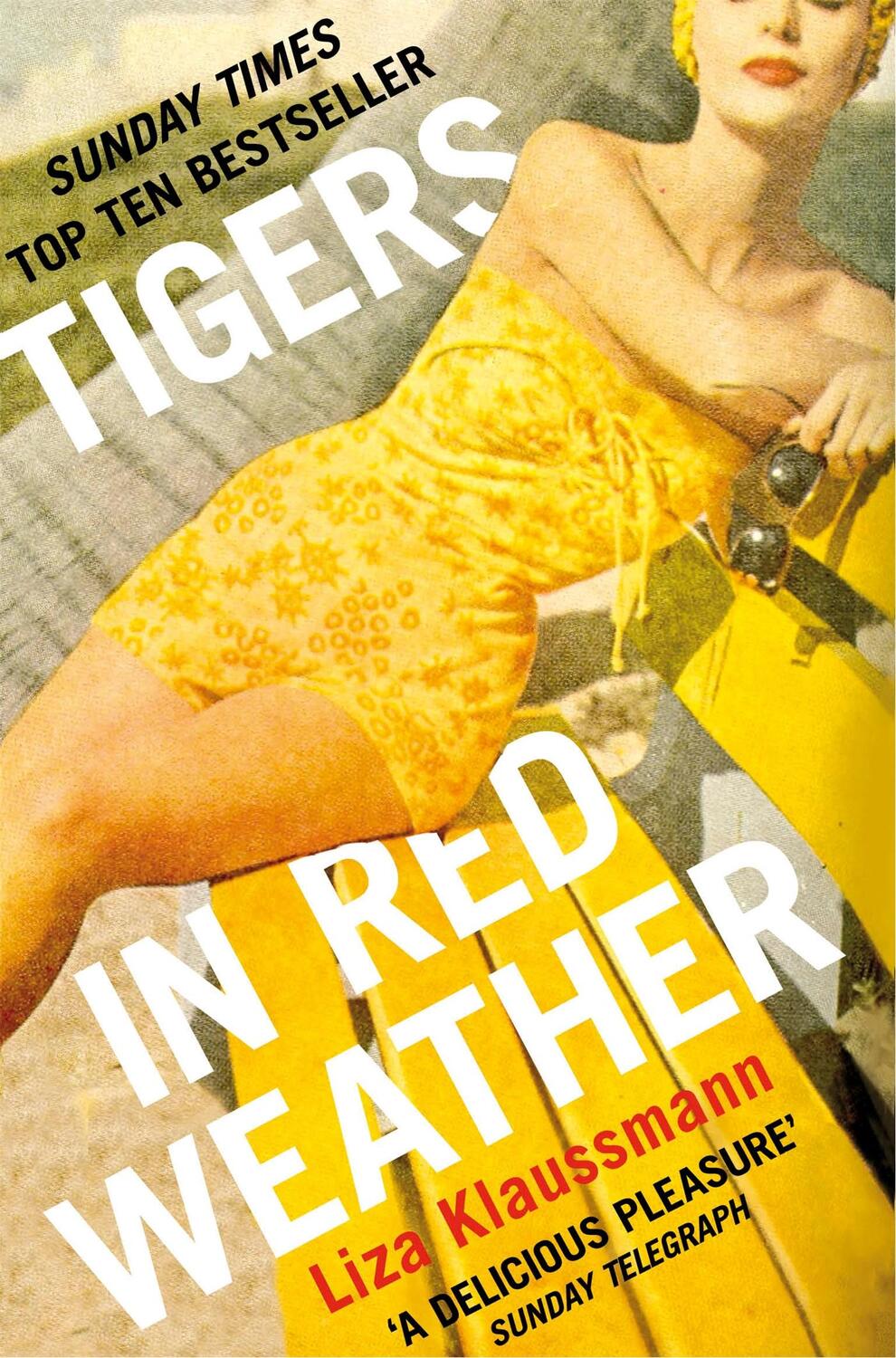 Cover: 9781447212072 | Tigers in Red Weather | Liza Klaussmann | Taschenbuch | Englisch