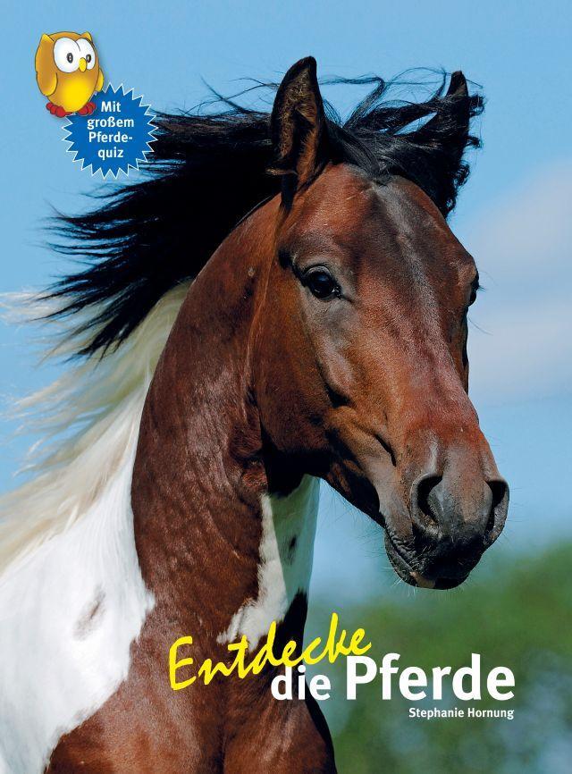 Cover: 9783866592476 | Entdecke die Pferde | Stephanie Hornung | Buch | 59 S. | Deutsch