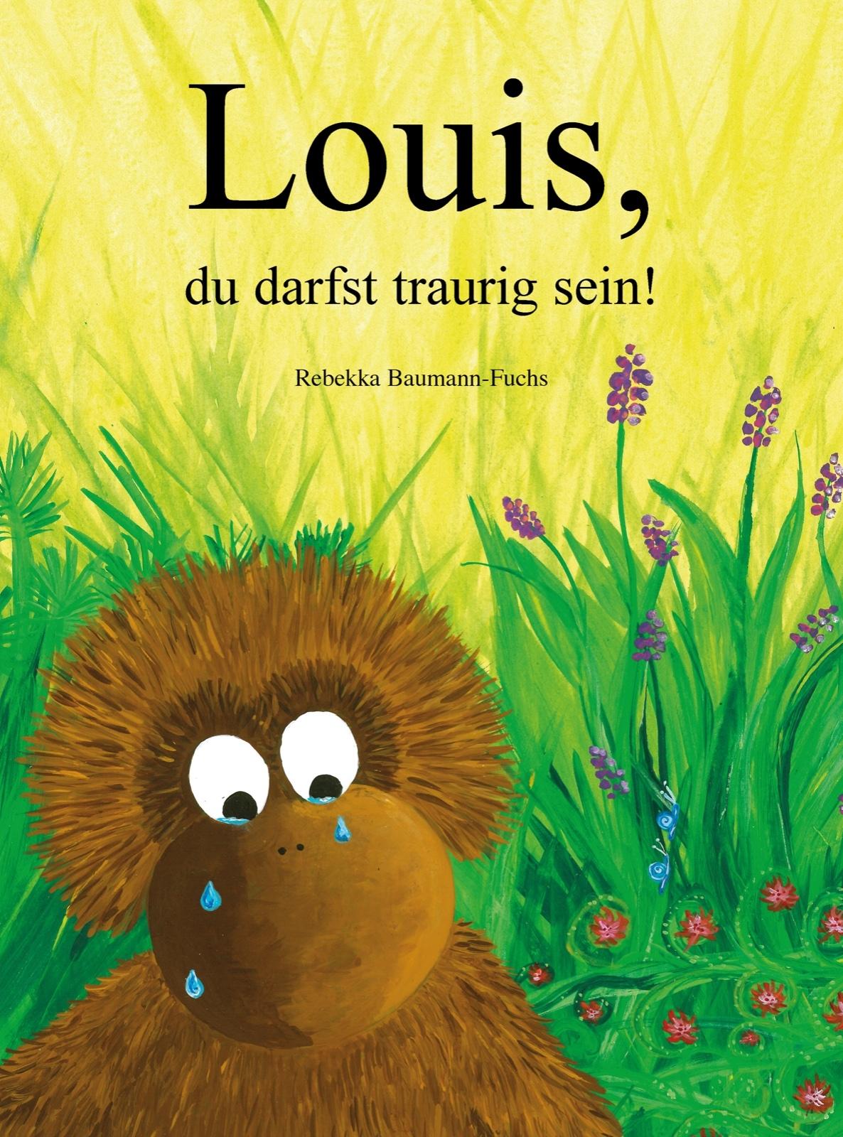 Cover: 9783039650231 | Louis, du darfst traurig sein! | Rebekka Baumann-Fuchs | Buch | 2025