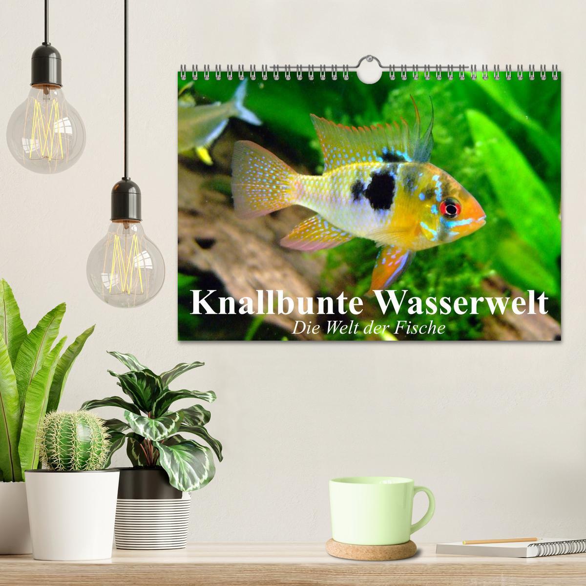 Bild: 9783435590827 | Knallbunte Wasserwelt. Die Welt der Fische (Wandkalender 2025 DIN...