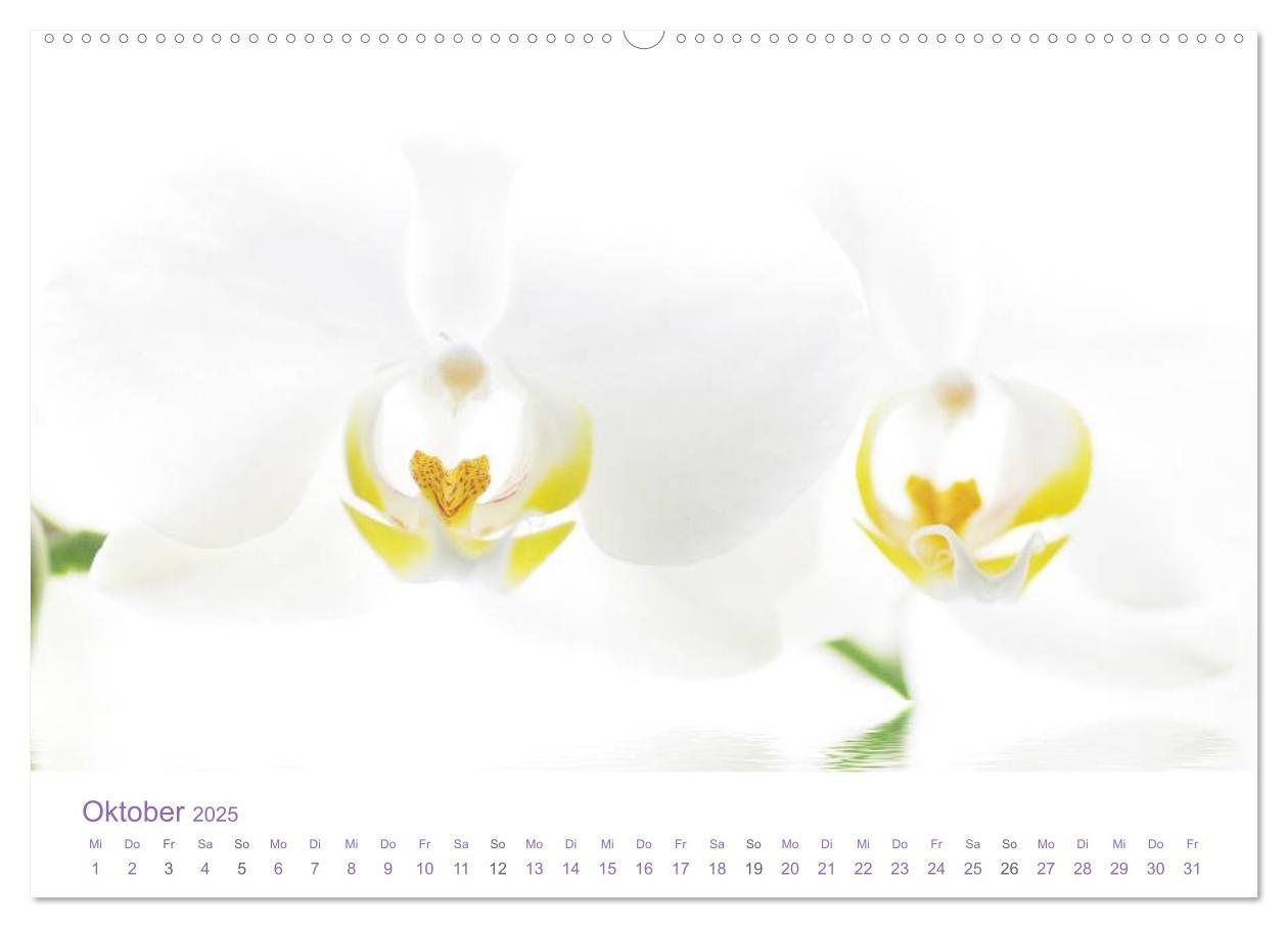 Bild: 9783435804993 | Blumen &amp; Blüten Träume (hochwertiger Premium Wandkalender 2025 DIN...