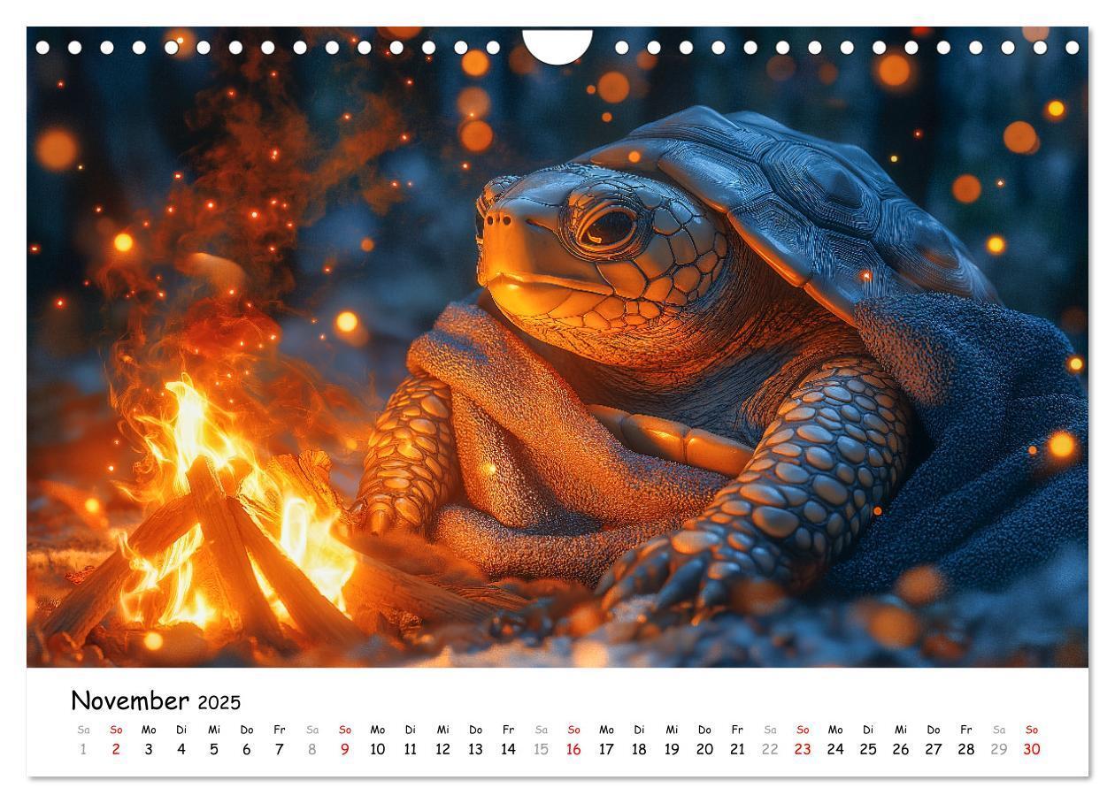 Bild: 9783457215784 | CHILL MAL - Entspannte Schildkröten beim Faulenzen (Wandkalender...